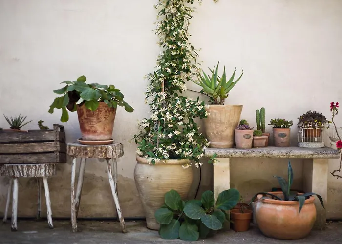 'nuvole Barocche' Mit Balkon By Interhome Lägenhet Lecce